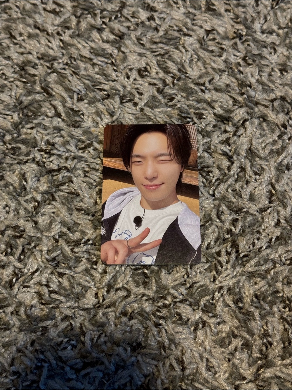 Official Seventeen Dino Nana Bnb Photocard
